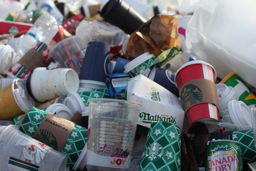 Economia circolare: la Commissione fornisce orientamenti per l'applicazione armonizzata delle norme sulla plastica monouso e fa progressi nel monitoraggio degli attrezzi da pesca