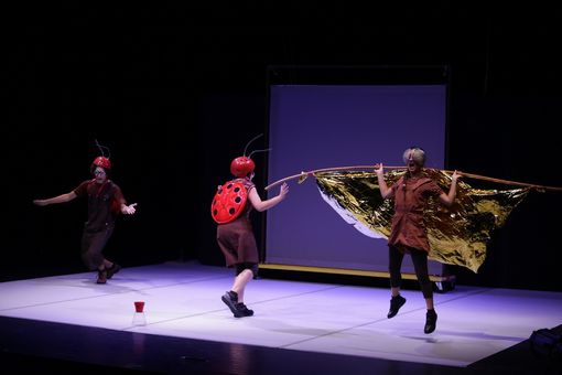 Alla scoperta del mondo degli insetti grazie al nuovo appuntamento con le ‘Domeniche a teatro’ Alla scoperta del mondo degli insetti grazie al nuovo appuntamento con le ‘Domeniche a teatro’