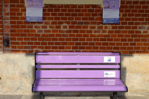 La panchina viola dell'università di Asti, simbolo della sensibilizzazione nei confronti dell'epilessia