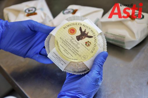 Servizio fotografico di MerfePhoto Servizio fotografico di MerfePhoto