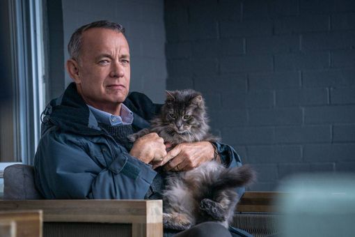 In Sala Pastrone ad Asti i film &quot;Non così vicino&quot; con Tom Hanks e &quot;Rapito&quot; di Marco Bellocchio