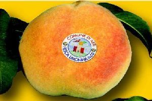 Domenica a Variglie la 17esima Sagra della Pesca Limonina