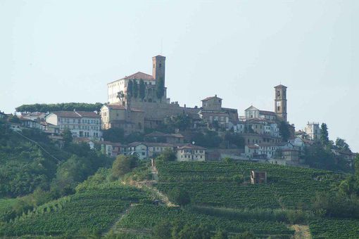 Proseguono le videoconferenze organizzate dal Polo Cittattiva per l’Astigiano e l’Albese