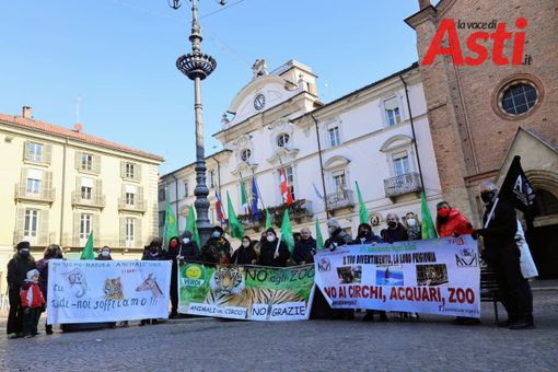 Foto di Merfephoto Foto di Merfephoto