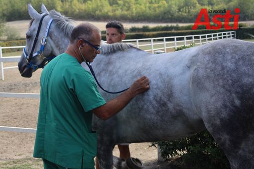 Ph Merfephoto Ph Merfephoto