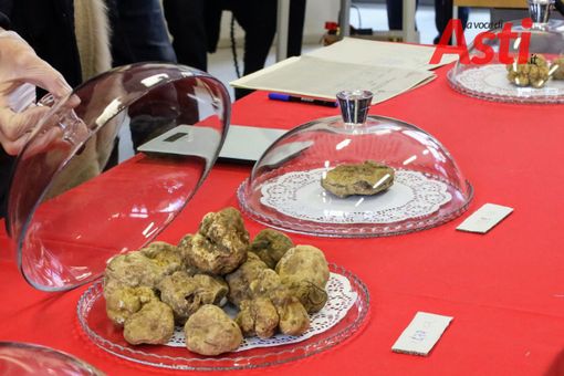 Fino a sera Asti profuma di tartufo con la Fiera Nazionale. I palazzi storici hanno aperto le porte al gusto [FOTOGALLERY]