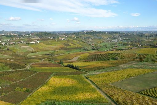 Turismo outdoor: prosegue il percorso formativo per gli operatori turistici del Monferrato