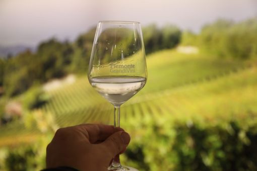 MerfePhoto MerfePhoto