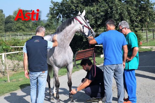 Le visite dello scorso anno (Merphefoto)