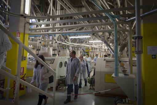 Immagine di archivio Immagine di archivio