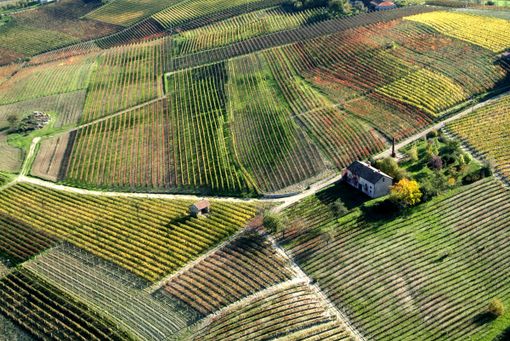 Colline monferrine viste dall'alto