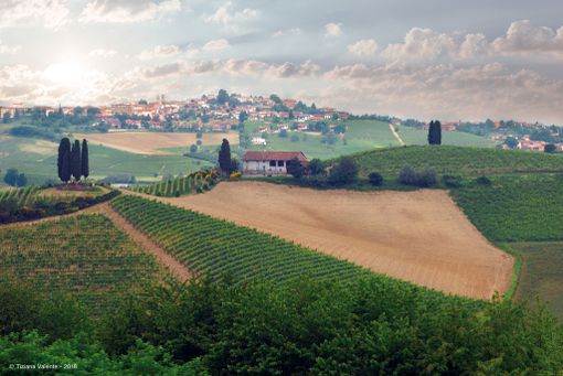 Un progetto pilota per valorizzare le bellezze paesaggistiche del Monferrato astigiano Un progetto pilota per valorizzare le bellezze paesaggistiche del Monferrato astigiano