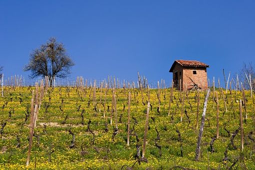 Viviamo in un posto bellissimo: viaggio nel tempo tra le colline Unesco Viviamo in un posto bellissimo: viaggio nel tempo tra le colline Unesco