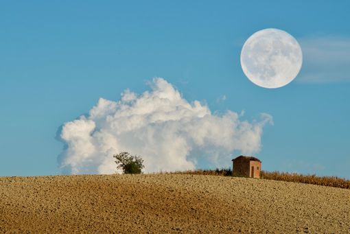 Una delle immagini che comporranno il percorso espositivo Una delle immagini che comporranno il percorso espositivo