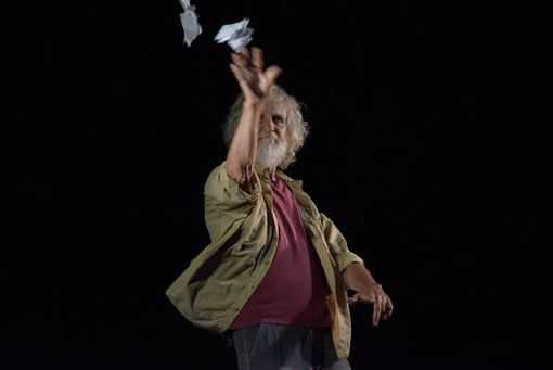 L'omaggio agli alberi di Pino Petruzzelli a Ferrere, ha fatto il pieno di applausi