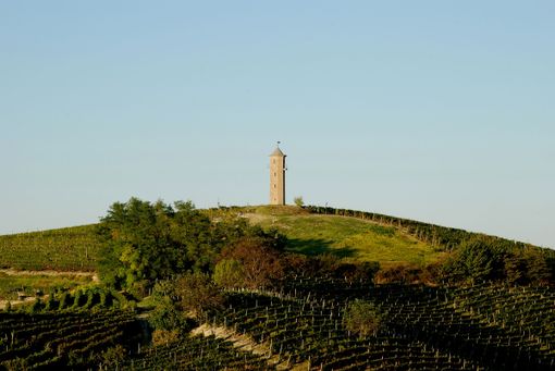 Le torre dei Contini a Canelli