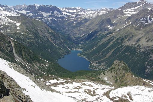 Quale la situazione del Piemonte nella Giornata Mondiale dell'Ambiente? Quale la situazione del Piemonte nella Giornata Mondiale dell'Ambiente?