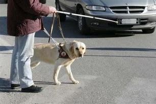 Da lunedì 8 giugno riapre la sede di Asti dell'APRI. Due i volontari di presidio per evitare assembramenti Da lunedì 8 giugno riapre la sede di Asti dell'APRI. Due i volontari di presidio per evitare assembramenti