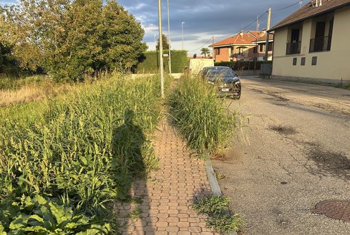 "Quelle erbacce sono un muro invalicabile per i disabili"