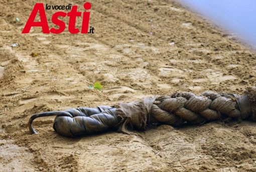 Il borsino del Palio: Don Bosco è il favorito, ma attenti alle sorprese