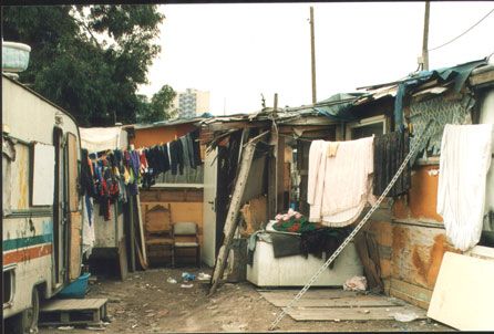 6 interrogazioni in consiglio comunale da parte del Movimento 5 stelle 6 interrogazioni in consiglio comunale da parte del Movimento 5 stelle