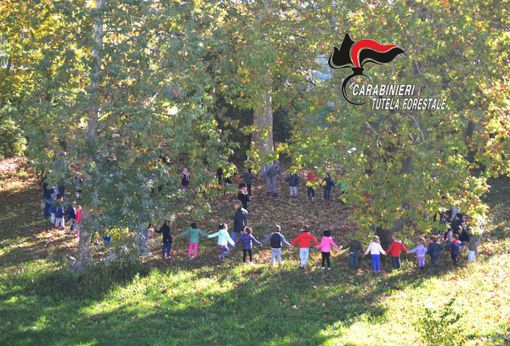 Un'immagine relativa una precedente edizione della Giornata degli Alberi Un'immagine relativa una precedente edizione della Giornata degli Alberi