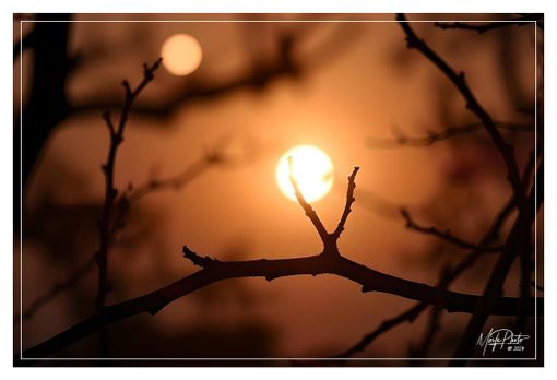 Ph Merfephoto