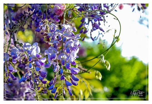 Ph Merfephoto Ph Merfephoto