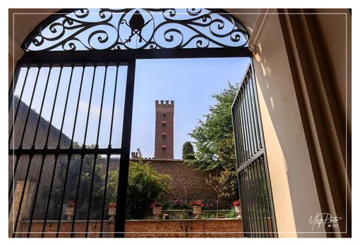 Ph Efrem Zanchettin - Merfephoto