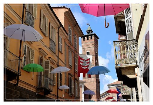 Ph Efrem Zanchettin - Merfephoto