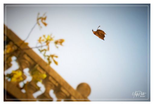 Ph Efrem Zanchettin - Merfephoto