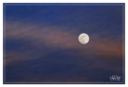 Ph Merfephoto