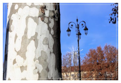 Ph Merfephoto Ph Merfephoto