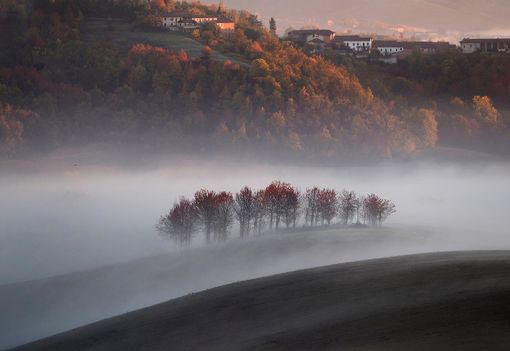 Vacanze nell’Astigiano ancora ispirati da Enzo Vacanze nell’Astigiano ancora ispirati da Enzo