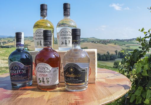 Gli Spirits di Cantine Sant'Agata Gli Spirits di Cantine Sant'Agata