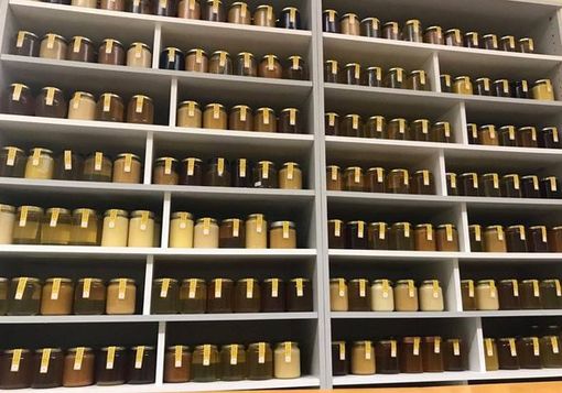 Campioni di miele in selezione nel concorso Tre Gocce d'Oro Campioni di miele in selezione nel concorso Tre Gocce d'Oro