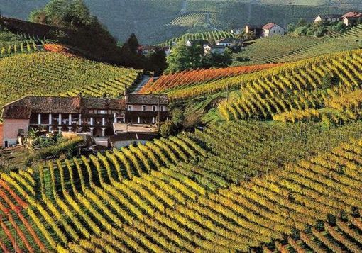 GAL Basso Monferrato Astigiano: chiarezza e responsabilità nella nomina dei nuovi rappresentanti privati