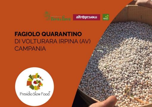 Il fagiolo quarantino, presidio Slow Food, protagonista al NaturaSì