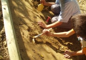 Per due domeniche al Paleontologico visite speciali e... gustose