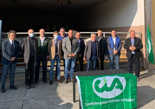 Cia a difesa della Razza Piemontese: &quot;Urgente riequilibrare la catena dei prezzi a favore degli allevatori&quot;