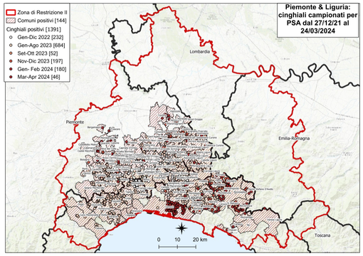 La mappa aggiornata delle positività alla Peste Suina Africana La mappa aggiornata delle positività alla Peste Suina Africana