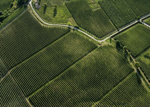 Convegno al World Tourism Event: sostenibilità per i paesaggi vitivinicoli del Piemonte Convegno al World Tourism Event: sostenibilità per i paesaggi vitivinicoli del Piemonte