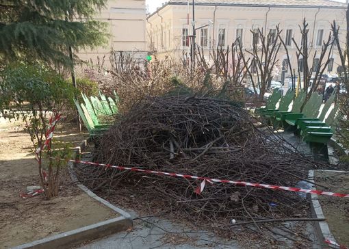 Consiglieri di opposizione all'attacco: "Nei giardini Alganon rami abbandonati da 15 giorni dopo la potatura"