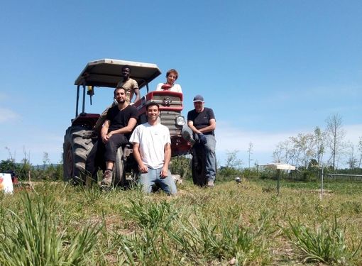 Azienda agricola "Il cortile di Simone Artesi", Calliano