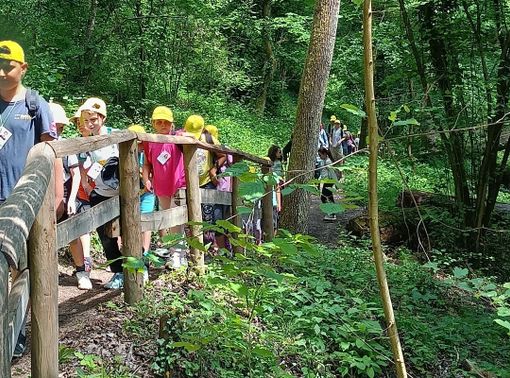 Bambini creativi disegneranno la segnaletica della Riserva dei fossili