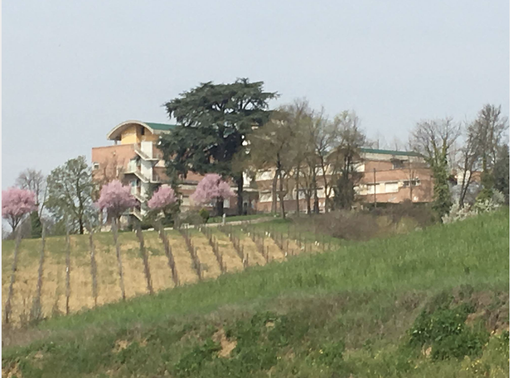 Il vigneto dell'Istituto astigiano Il vigneto dell'Istituto astigiano