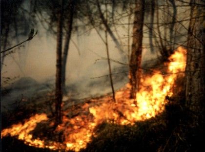 Al via la campagna estiva di Anas per la prevenzione degli incendi