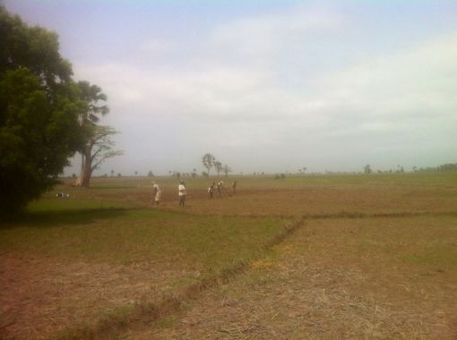 Casamance 2019