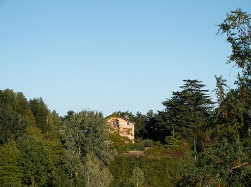 Casa degli Alfieri Casa degli Alfieri