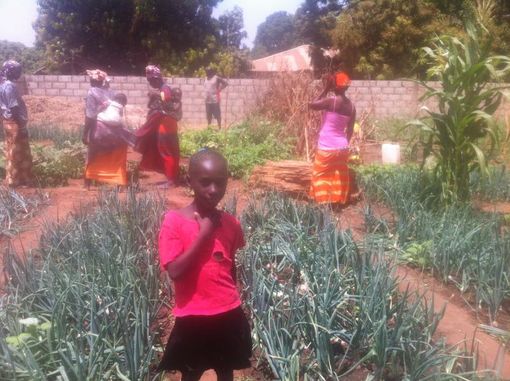 Il bilancio sul progetto di cooperazione in Senegal, tra ricordi di volontari ed esperienze dirette